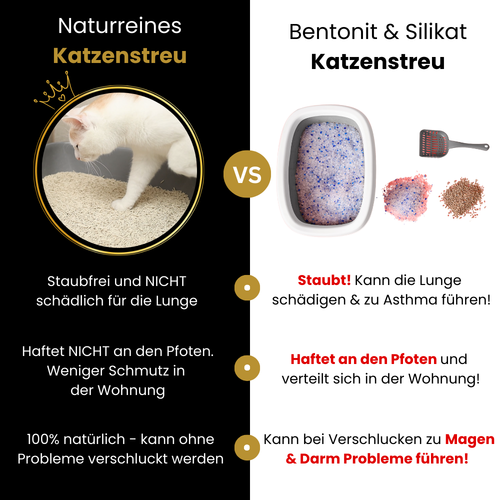 Vergleich Erbsenfaser-Katzenstreu vs. herkömmliches Streu