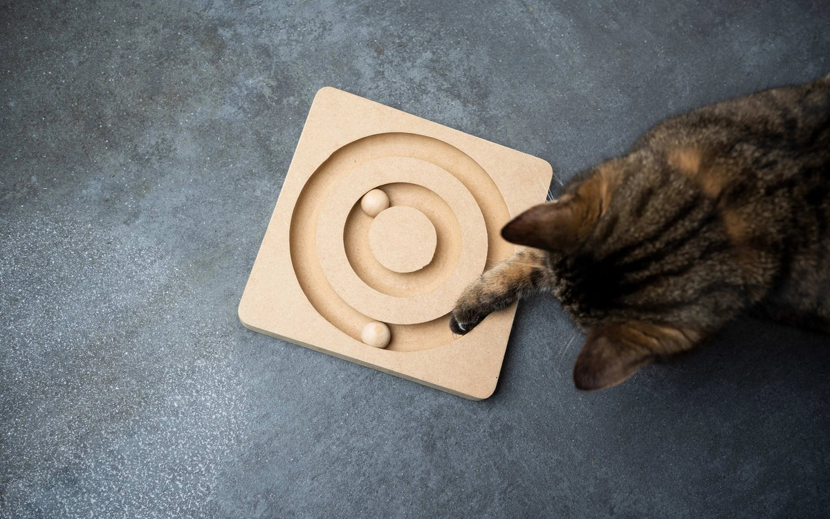 Katzenspielzeug