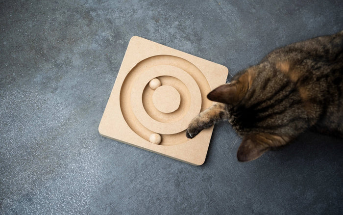 Katzenspielzeug