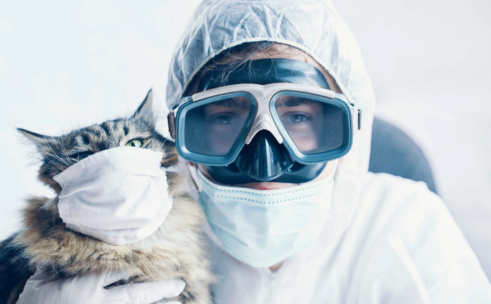 Katzenallergie