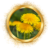1_b22210fa-e73b-4d2f-ac85-77d3345ce935.png__PID:c307029f-c664-467c-b0c1-3206ea682e4e