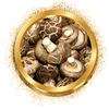 2_75291515-38fa-411e-af29-933b5a53de79.png__PID:c664a67c-f0c1-4206-aa68-2e4e0568bee8