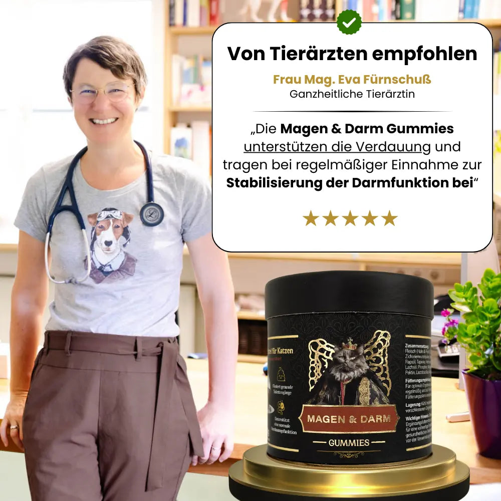 Tierärztlich empfohlene Verdauungshilfe für Katzen
