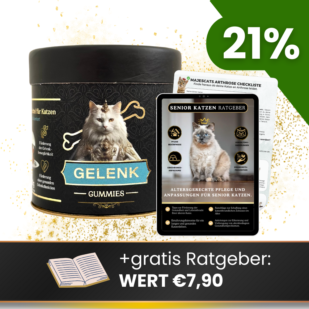 Gelenk Gummies - Angebot