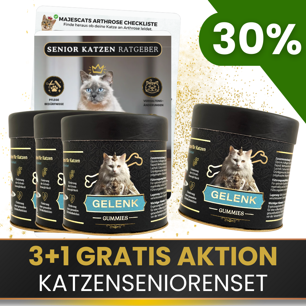 Gelenk Gummies - Angebot