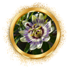 3_a84c29bd-b5c9-47fd-b7b4-5905e7e86514.webp__PID:06c76838-9efa-47b2-bc46-8faeacaf0704