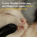Einmal pro Woche reicht aus, um Plaque zu lösen, bevor er zum Problem wird. 