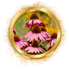 4_9b13e7d5-1f18-478d-ad91-4c373f674c18.png__PID:029fc664-a67c-40c1-b206-ea682e4e0568