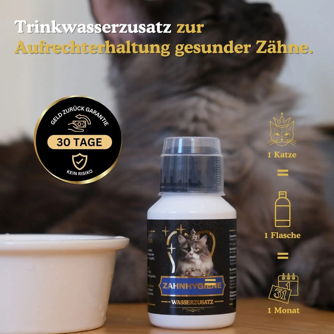 Trinkwasserzusatz für Katzen zur Aufrechterhaltung gesunder Zähne