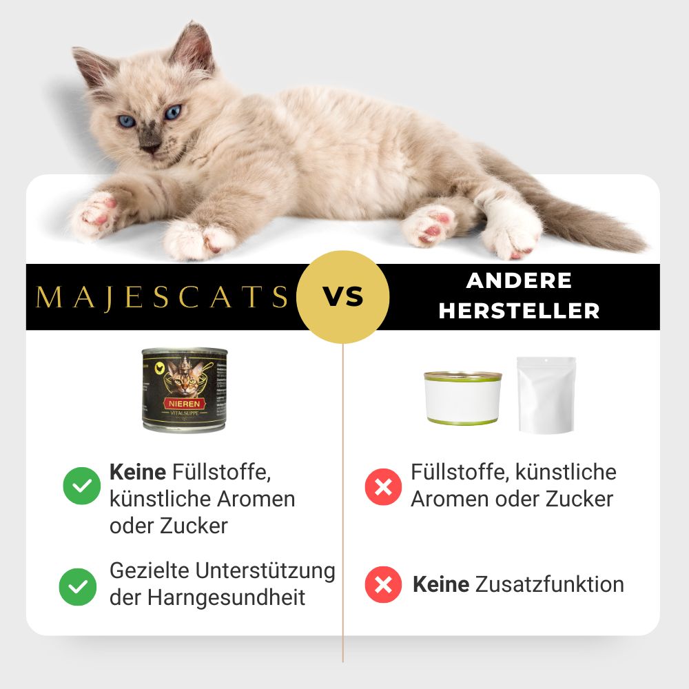 Schmackhafte Katzensuppe zur Unterstützung der Nierengesundheit
