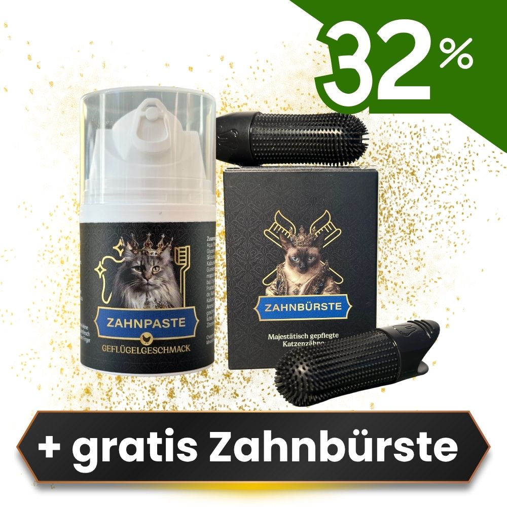 Katzen Zahnpaste