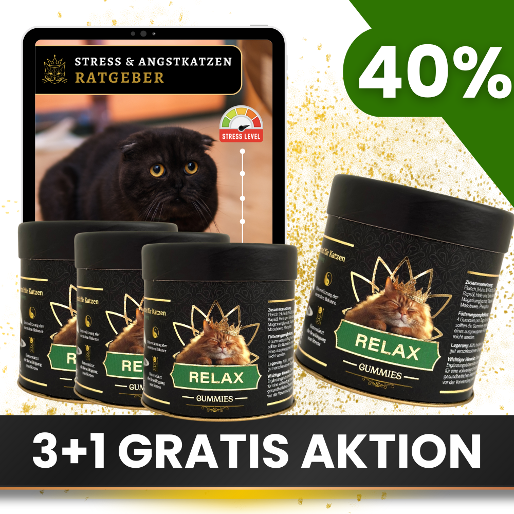 Relax Gummies - Angebot