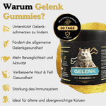 Unterstützt deine Katze dabei, Gelenkschmerzen zu lindern. 
