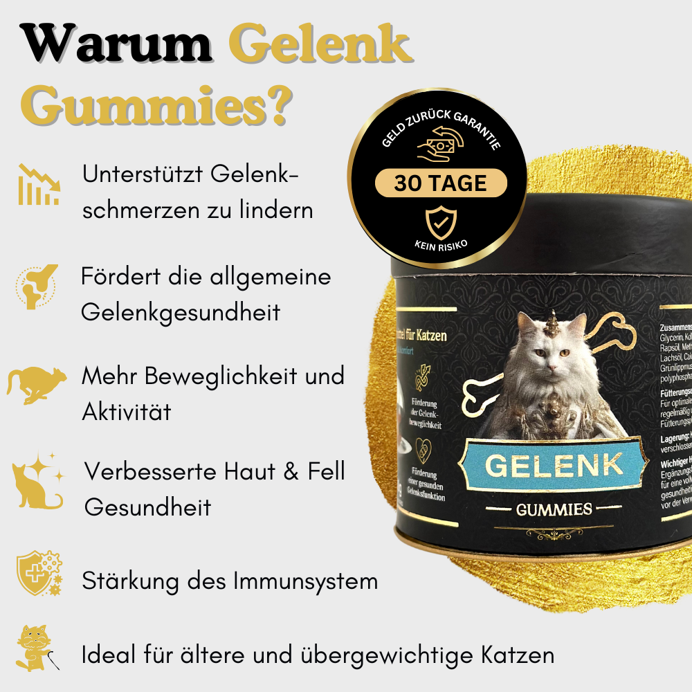 Unterstützt deine Katze dabei, Gelenkschmerzen zu lindern. 