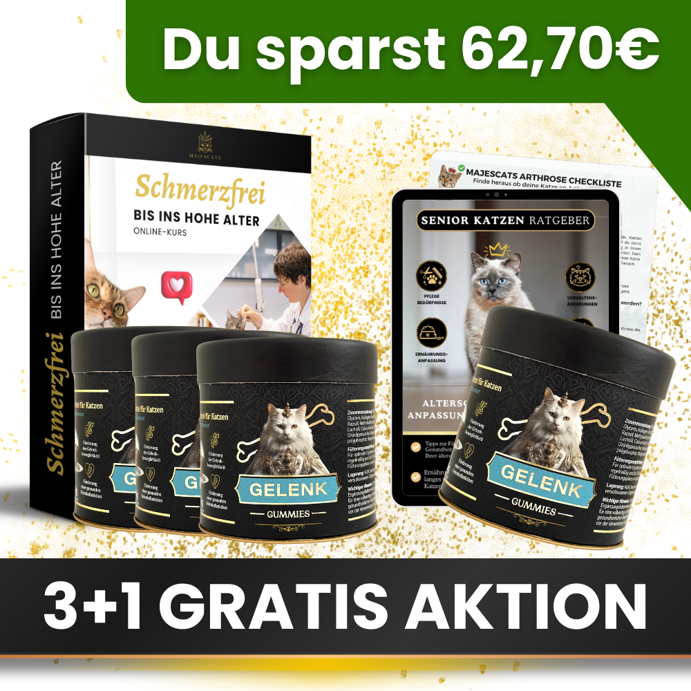 Gelenk Vital Paket