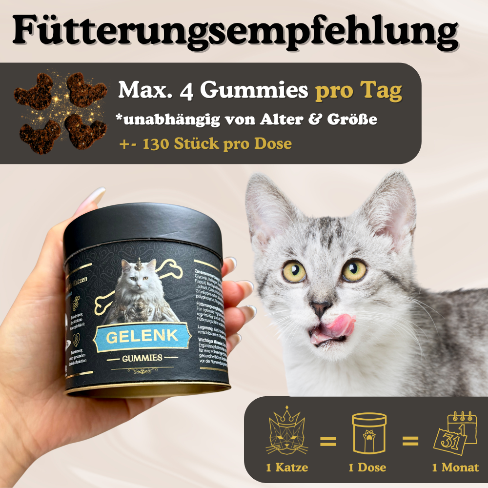 Maximal 4 Gelenk Gummies pro Tag füttern. Unabhängig von Alter und Größe. 