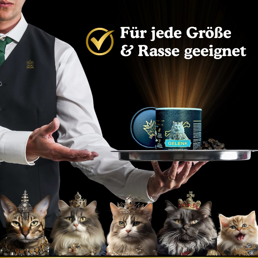 Die Gelenk Gummies sind für jede Größe und Rasse geeignet 