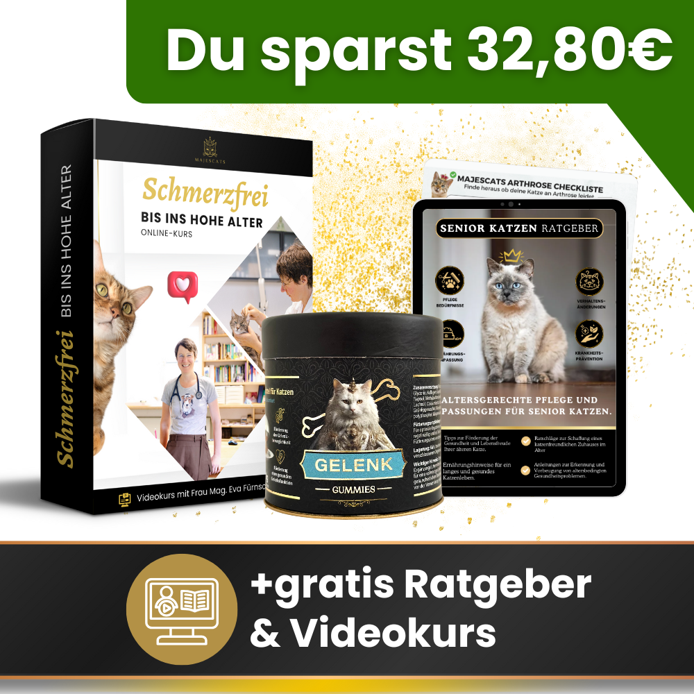 Gelenk Vital Paket