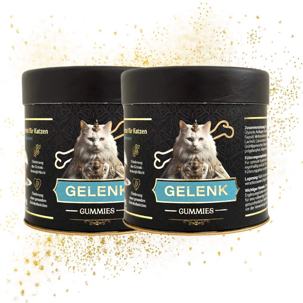 Gelenk Gummies