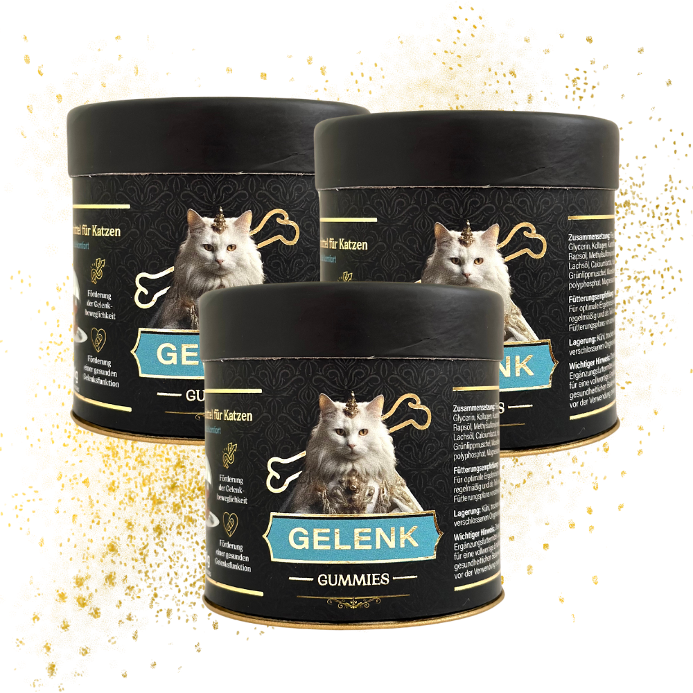 Gelenk Gummies