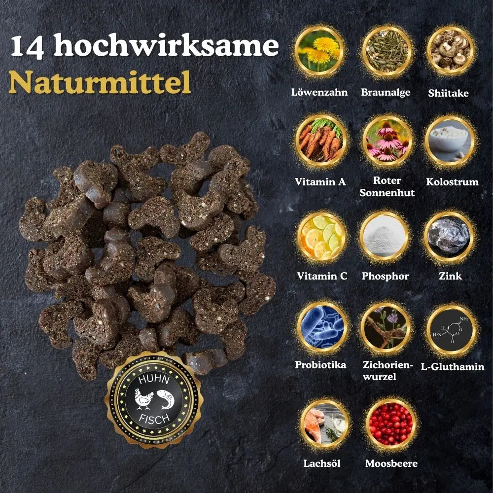 14 hochwirksame Kräuter, Vitamine und Mineralstoffe für eine gesunde Katze. 
