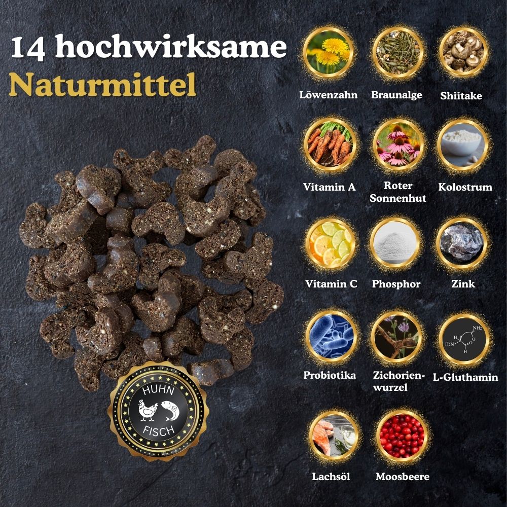 ImmunGummiesProduktfotos_12.jpg__PID:11f73f28-6ce4-47e2-adec-9ee1ae5c2efb