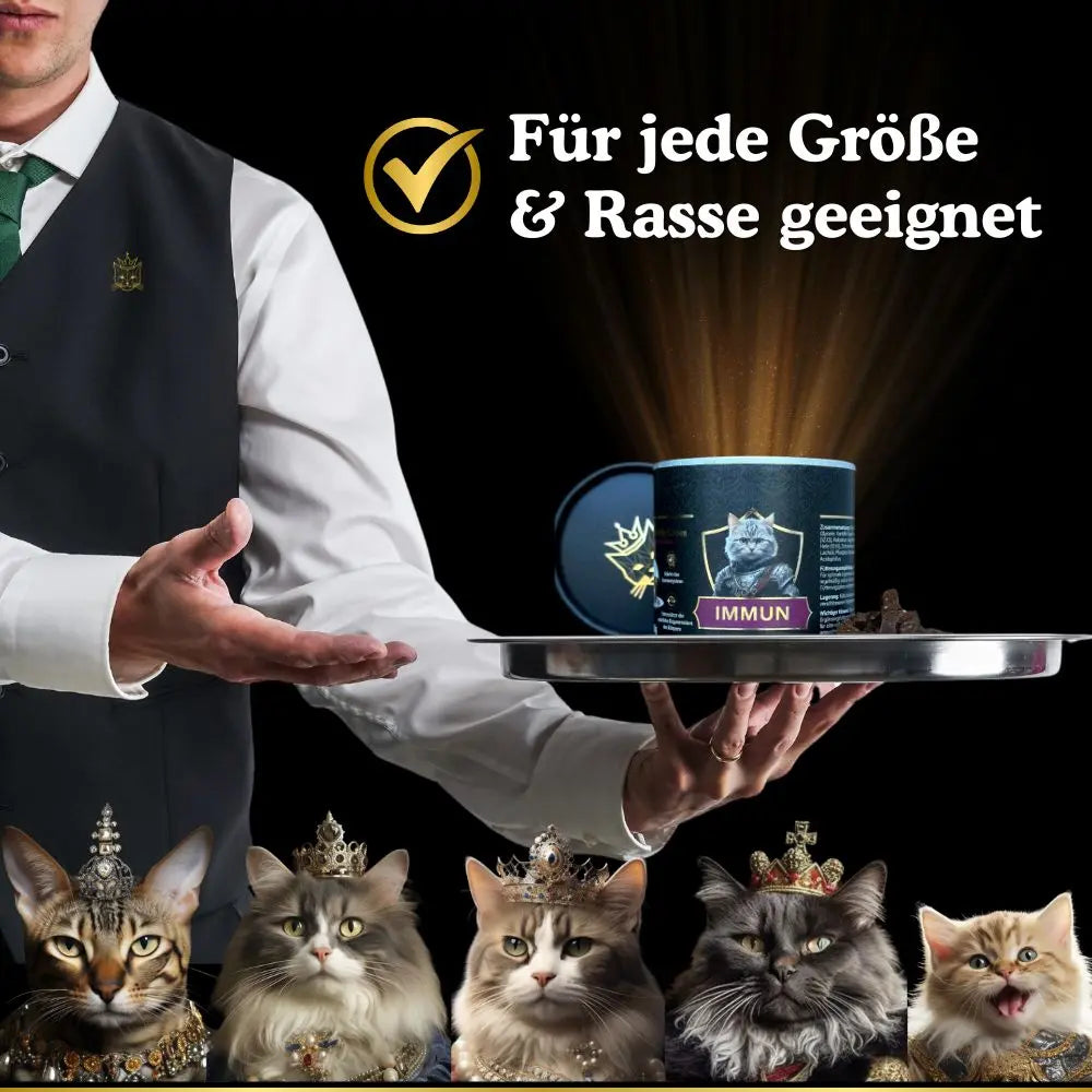 Geeignet für Katzen jeden Alters und jeder Rasse
