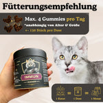 Täglich 4 Immun Gummies für optimale Immununterstützung
