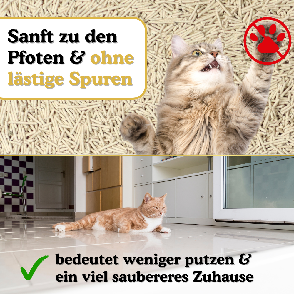 Geringe Pfotenhaftung sorgt für sauberes Zuhause
