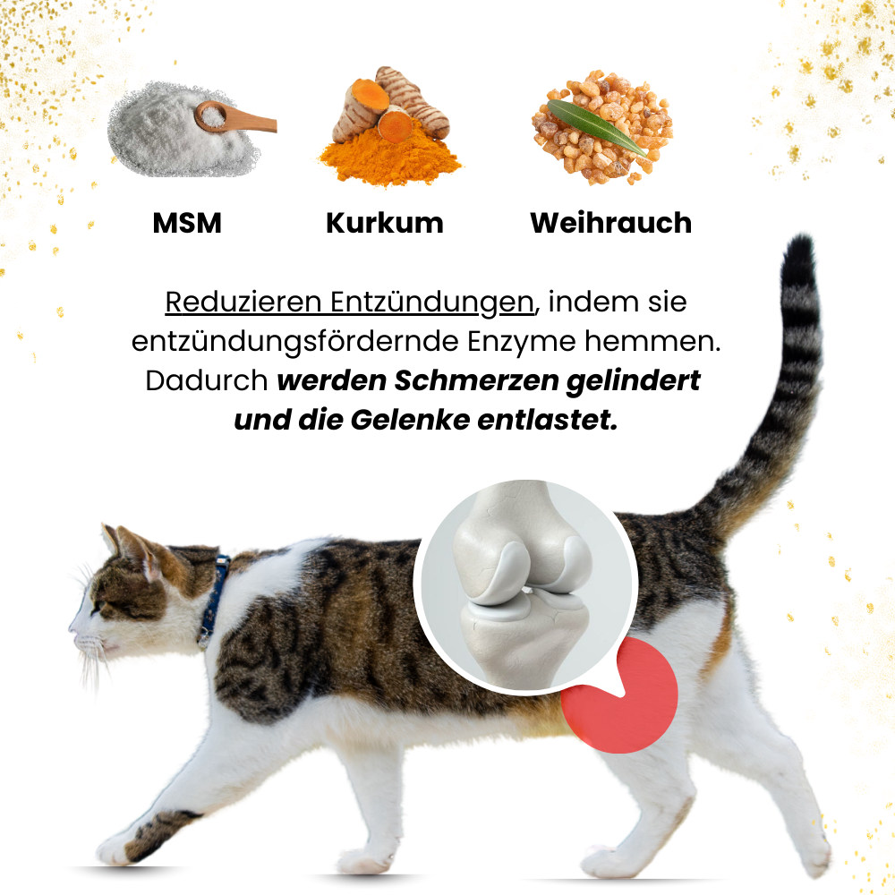 Gelenk Gummies - Angebot