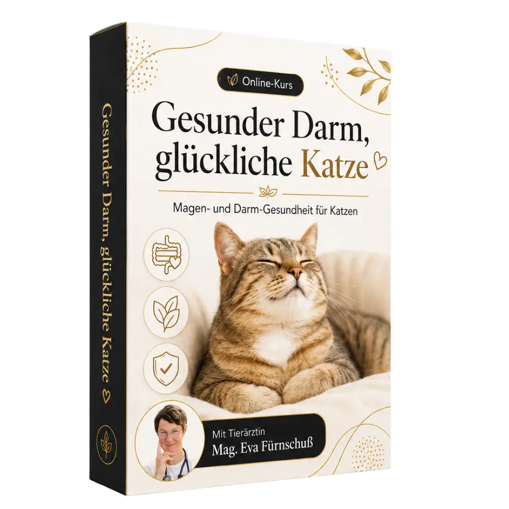 Gesunder Darm, glückliche Katze (Onlinekurs)