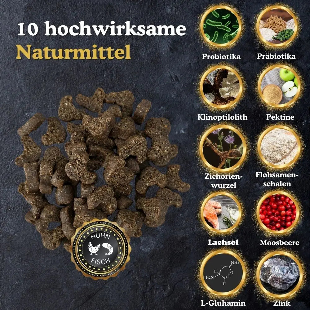 10 hochwirksame natürliche Inhaltsstoffe für Magen-Darm-Gesundheit
