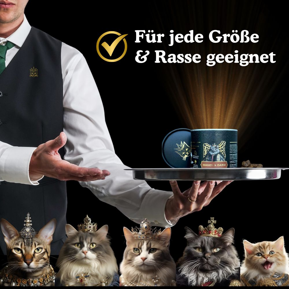Die Magen & Darm Gummies sind geeignet für Katzen mit Verdauungsproblemen jeden Alters
