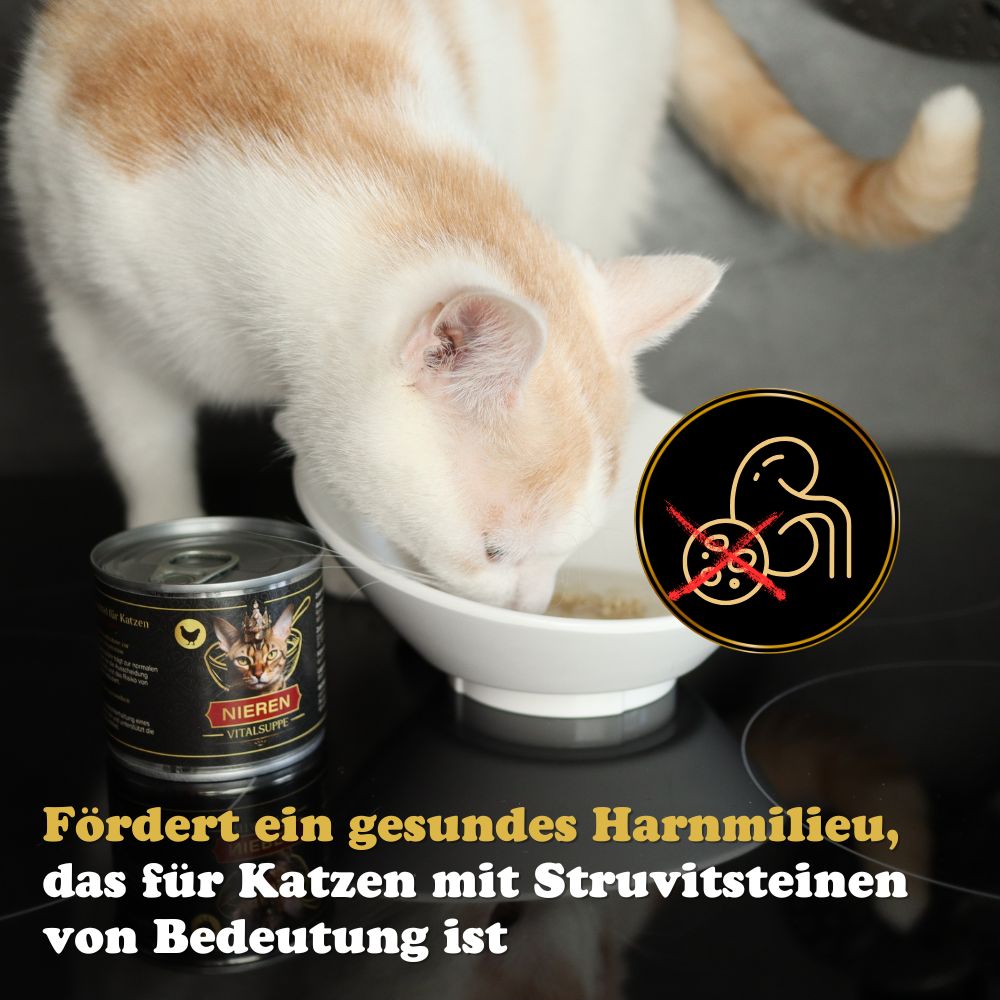 Fördert ein gesundes Harnmilieu, das für Katzen mit Struvitsteinen von Bedeutung ist. 