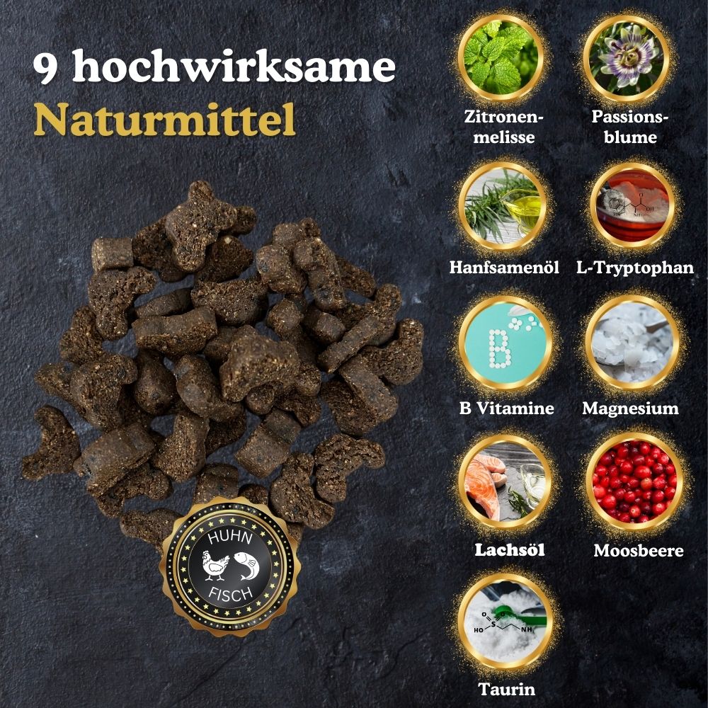 9 hochwirksame Naturmittel, die deiner Katze dabei helfen, entspannt zu sein. 