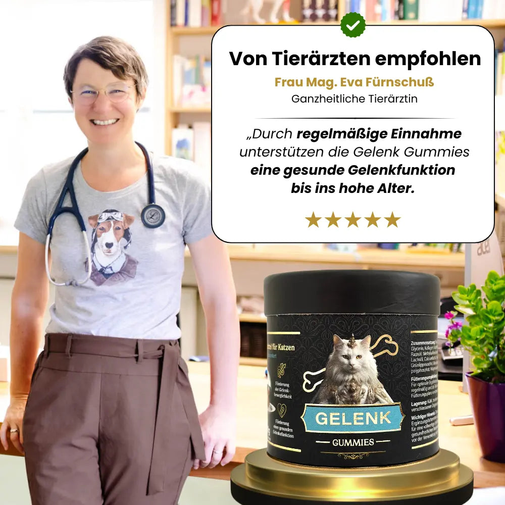 Von Tierärzten empfohlene Gelenk-Gummies für eine gesunde Gelenkfunktion bis ins hohe Alter. 