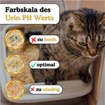 Kontrolliere den pH-Wert des Urins deiner Katze einfach, schnell und sicher. 
