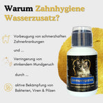 Zahnhygiene Wasserzusatz zur Vorbeugung von schmerzhaften Zahnerkrankungen. 