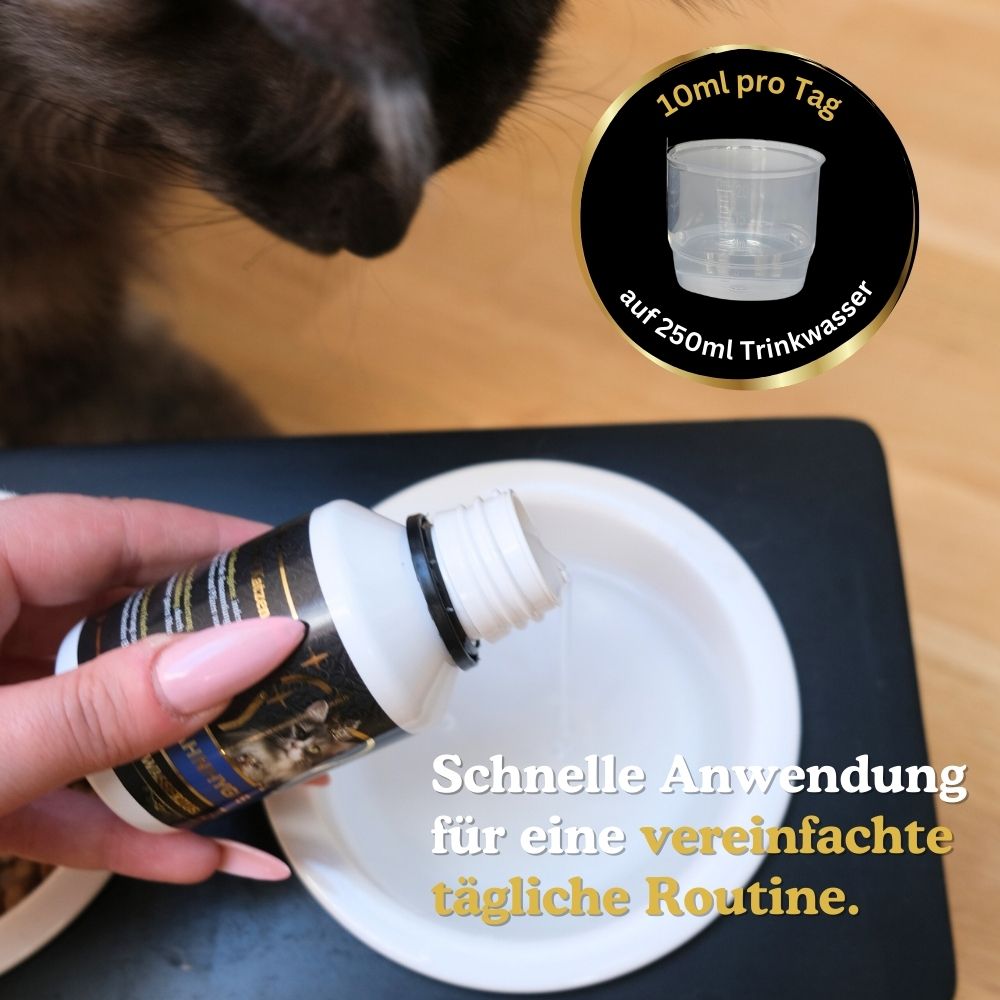 Schnelle Anwendung für eine vereinfachte tägliche Routine. 