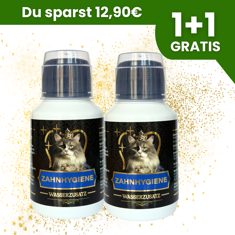 Zahnhygiene Wasserzusatz