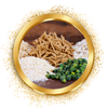 magen_darm_icons_1_e81aed25-6971-434e-9637-4105722aab82.webp__PID:97526854-77fc-4b7b-807f-7f3b5d7c7893