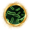 magen_darm_icons_1_ec3afb50-4a14-4833-b321-6e332ead3df6.webp__PID:4c709752-6854-47fc-9b7b-c07f7f3b5d7c