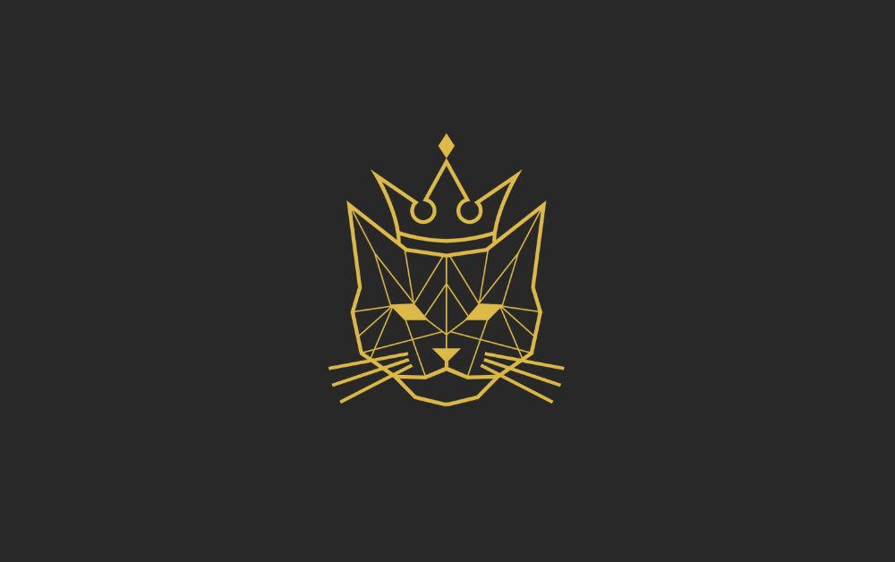 Gesunde Snacks für deine Katze