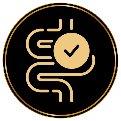 majescats_produkticons-removebg-preview.webp__PID:9660c3c0-079b-4b4b-b8d4-ff3d550a09d8