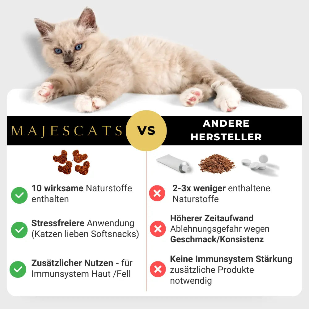 Vergleich: Magen & Darm Gummies vs. andere Verdauungshilfen
